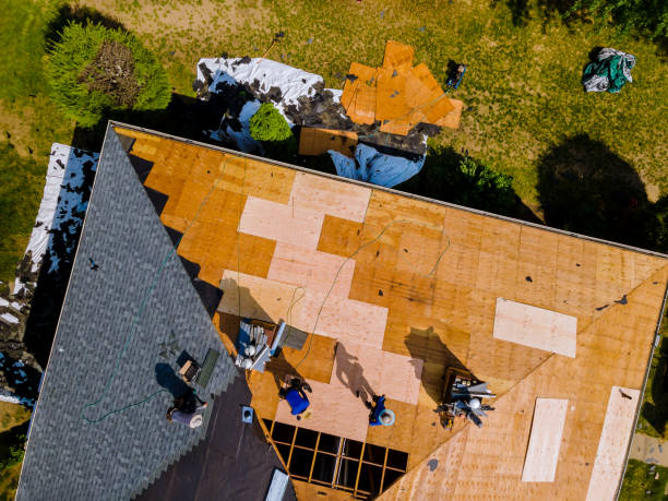 Best Roof Maintenance Services  in La Grulla, TX