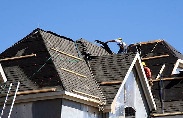 Roof Gutter Cleaning in La Grulla, TX