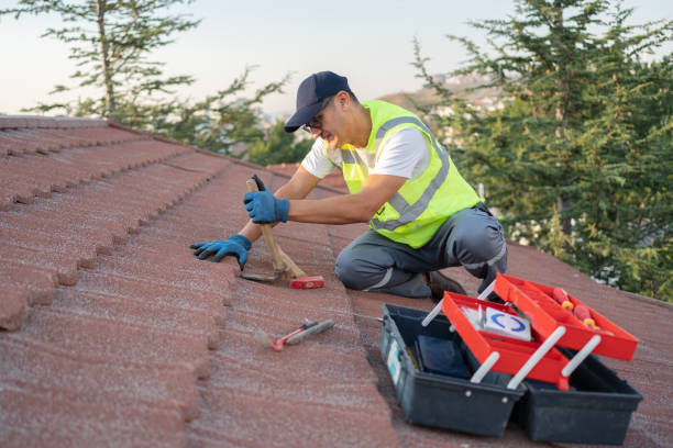 Best Roof Repair Services  in La Grulla, TX