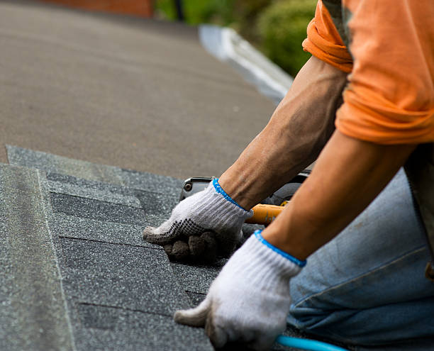 Best Roof Restoration Services  in La Grulla, TX