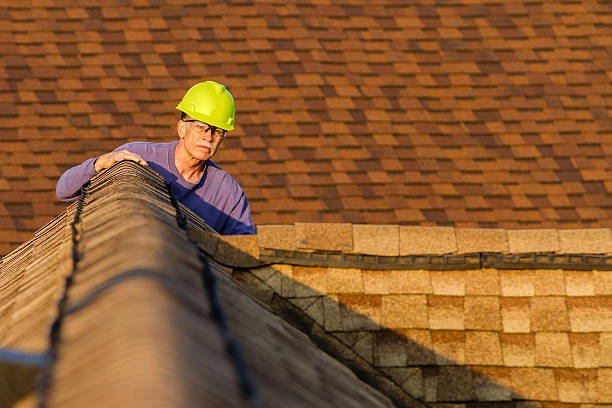 Best Metal Roofing Contractor  in La Grulla, TX