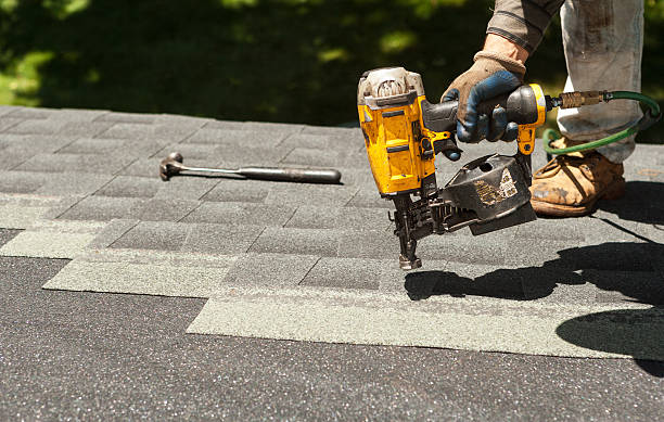 Best Gutter Installation and Roofing  in La Grulla, TX