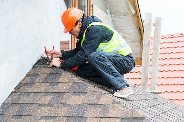Best Flat Roof Repair Services  in La Grulla, TX