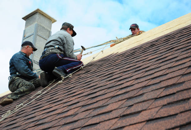 Best Shingle Roofing Installation  in La Grulla, TX