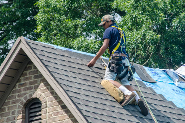Best Slate Roofing Contractor  in La Grulla, TX
