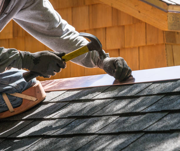 Best Residential Roofing Contractor  in La Grulla, TX